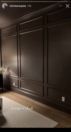 a living room with dark wood paneling and white rug