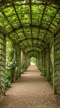 Grape & Rose Arbor Walkway