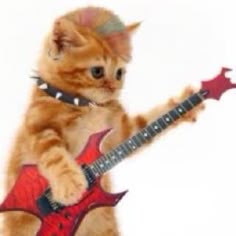a kitten playing with a red guitar on the app store's playlist page
