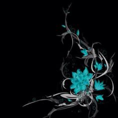 blue flowers are on the black background