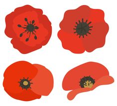 four red poppys on a white background