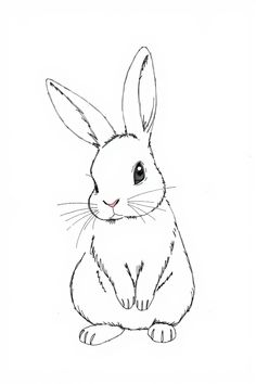 best free bunny drawing