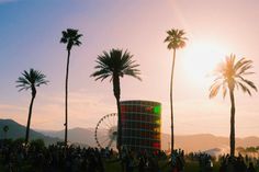 a crowd of people standing in front of palm trees and a ferris wheel at sunset