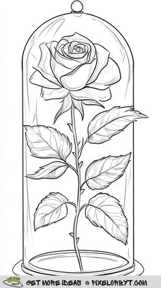 a drawing of a rose in a glass dome with leaves on the outside and inside
