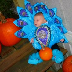 a baby in a peacock costume sleeping on some pumpkins