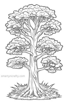 a drawing of a large tree with lots of leaves on the branches and some grass around it