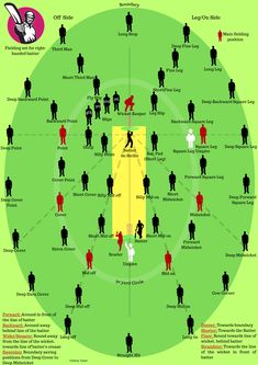 Cricket fielding positions