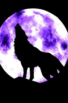 a wolf standing on top of a hill in front of a full moon with purple hues