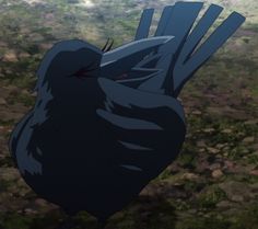 a black bird standing on top of a lush green field