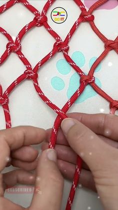 two hands are holding red rope to the side of a white and blue dog's paw net