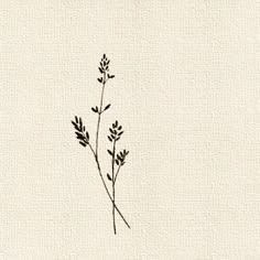 a black and white drawing of some plants