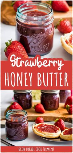 Learn how to make strawberry jam with honey. This delicious strawberry jam no pectin recipe is so easy to make with your summer garden strawberries. Since it's made without pectin, it only requires a few ingredients and is a great way to get started preserving strawberries. If you're new to water bath canning, you'll love this easy canning recipe for beginners. Get more Homestead Survival at Grow Forage Cook Ferment! Canning Honey Butter, Homemade Strawberry Jam With Honey, Canning Fruit Butters, How To Make Strawberry Jam With Honey, Canning Strawberry Jam With Honey, Strawberry Honey Recipe, Fruit Butters Canning, Strawberry Butter Canning, Strawberry Honey Butter Canning Recipe