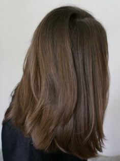 Haircut U Shape Medium, Medium Length U Shaped Haircut, Mid Length U Shaped Haircut, Straight Brown Hair Haircut, Medium Brown Hair Straight, Brown Hair No Layers, Medium Length Brown Hair Straight, Slight U Shape Haircut, U Shape Haircut Medium Straight Hair