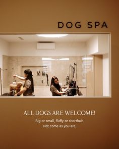 two women sitting in front of a dog spa sign with the words all dogs are welcome