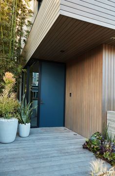 two planters on the side of a house with a blue door and wooden floor
