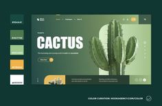 the cactus web page is clean and modern