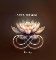 a lotus flower with the words love is the soul's light