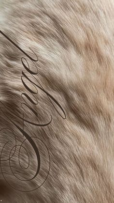 an animal's fur with the word love written in cursive writing