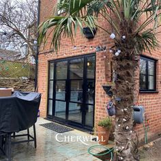 a palm tree in front of a brick building