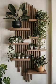 a wooden shelf with plants on it