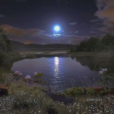 the full moon shines brightly in the night sky over a lake with wildflowers