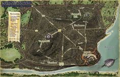 an old map of the city of sydney