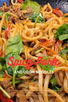 noodles with meat and vegetables in a wok on the stove top text says spicy pork and udon noodles