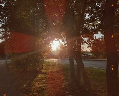 the sun shines brightly through some trees in front of an empty street and sidewalk