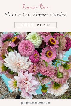 Follow this step by step planting guide complete with seed names and colors to create a feminine pink and white cut flower garden.