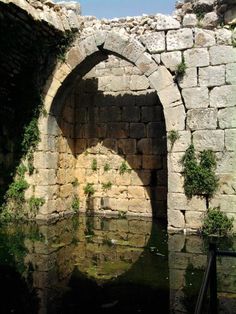 an old stone arch with water in the middle and greenery growing on it's sides