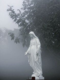 a statue of the virgin mary in front of some trees on a foggy day