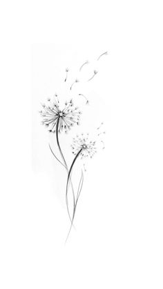 a black and white photo of a dandelion with flying seeds in the air