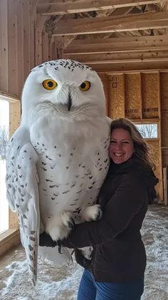 a woman is holding an owl statue in the snow