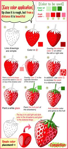 the strawberry color scheme is shown in red and green, with instructions for how to use it