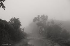 black and white photograph of a foggy path