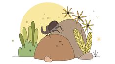 an ant crawling on top of a rock in the grass