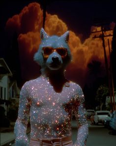 a man with sunglasses on his face is dressed up as a raccoon