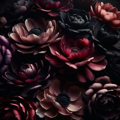a bunch of flowers that are in the dark