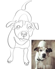 a drawing of a dog's face is shown next to an image of the same dog