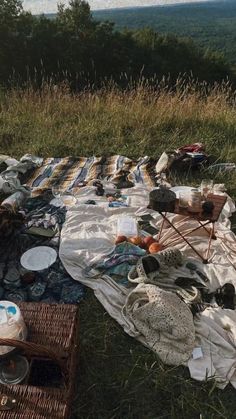 an outdoor picnic is set up in the grass