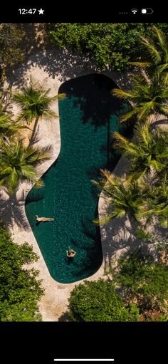 an aerial view of two people swimming in a pool surrounded by palm trees and water