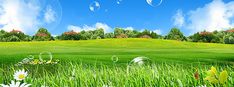 a field with flowers and bubbles floating in the air above it is a blue sky