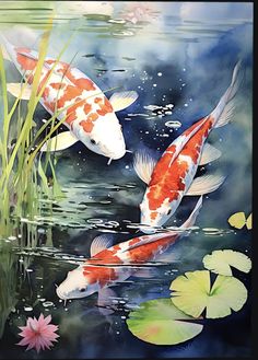 two koi fish swimming in the water with lily pads