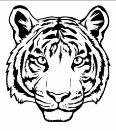 a black and white tiger face on a white background