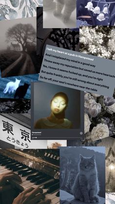 a collage of photos with an image of a cat on the keyboard and other images