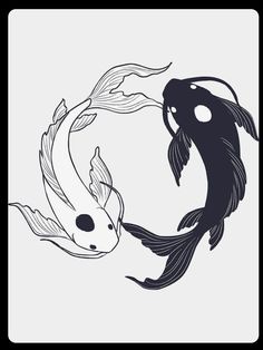 two black and white koi fish swimming together