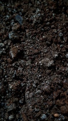 the ground is covered with dirt and rocks