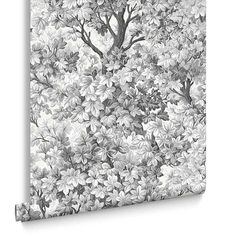 a black and white photo of a tree with lots of leaves on it's branches