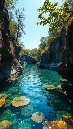 the water is crystal blue and clear with yellow leaves floating on it's surface