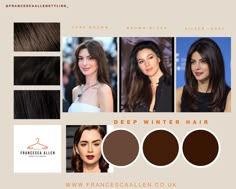 Colour Analysis - Colour Palette - Deep Winter Hair - Dark Winter Hair - Colour Hair - Dye - Hair Colour Ideas - Hair Colour Looks - Dark Brown Hair - Black Brown Hair - Stylist - Personal Stylist - Personal Shopper - Colour Consultant Bright Winter Brown Hair, Dark Winter Hair Dye, Deep Winter Undertone, Dark Winter Hair Colours, Dark Brown Hair Cool Undertones, Dark Winter Brown, Deep Winter Browns, Winter Color Palette Hair, Winter Deep Hair Color